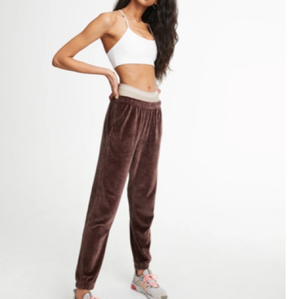 WSLY Bandier velvet jogger